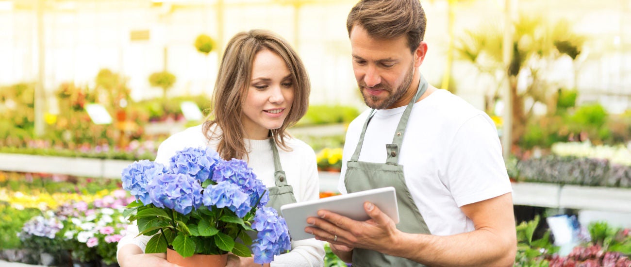 Business Loan Rates