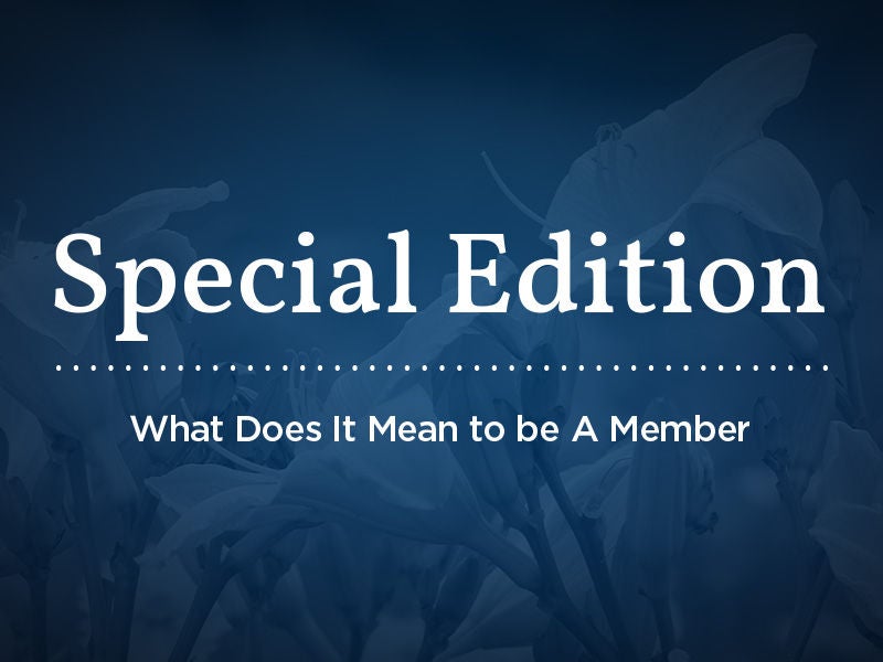 memberline newsletter 