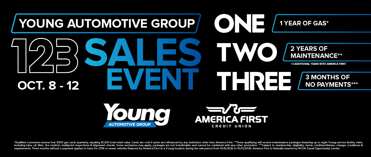 Young Automotive Group 123 Sale