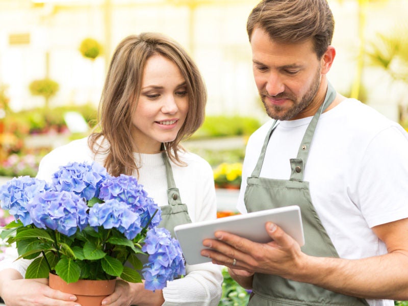 A man and woman in a greenhouse looking at a tablet.