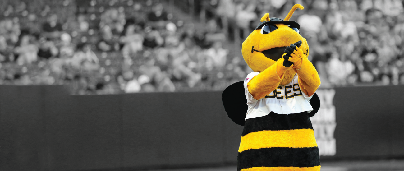 Salt Lake Bees