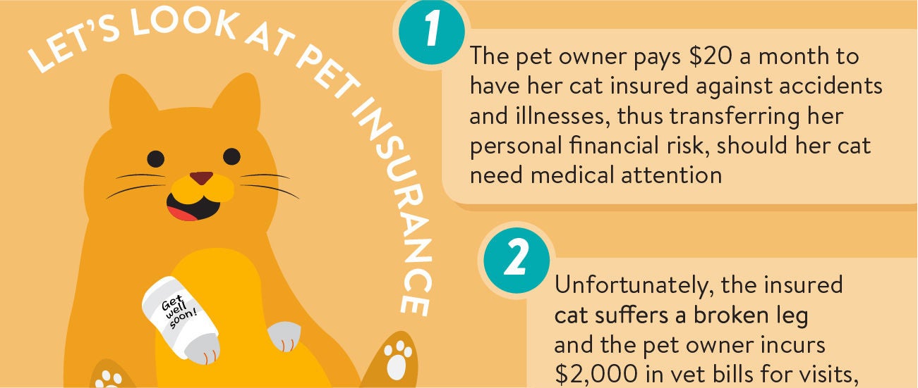Intro to Insurance